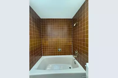 57 Willow Brook Drive, Saint Louis, MO 63146 - Photo 16