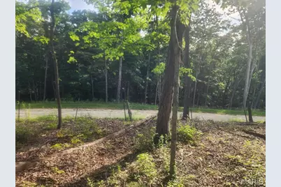 22206 Tree Farm  (6.52Acres +/-) Road, Warrenton, MO 63383 - Photo 2