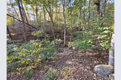 161 Steeple Point Drive, Defiance, MO 63341 - Photo 20