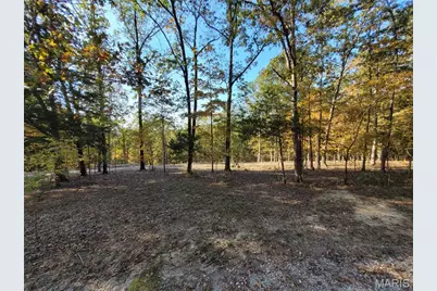 161 Steeple Point Drive, Defiance, MO 63341 - Photo 4
