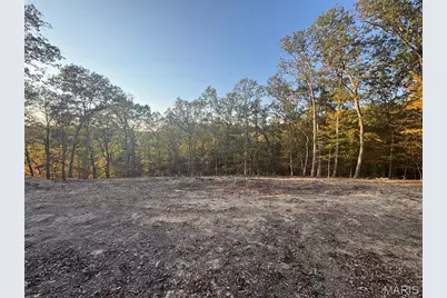161 Steeple Point Drive, Defiance, MO 63341 - Photo 28