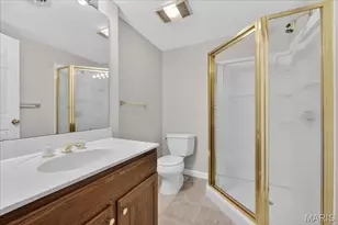 853 Wellesley Pl Dr, Chesterfield, MO 63017 - Photo 44