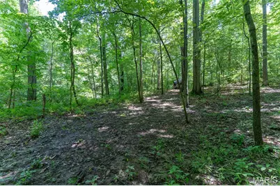 0 Dunklin Drive, Herculaneum, MO 63048 - Photo 16