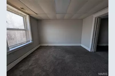 3458 Alberta Street #2F, Saint Louis, MO 63118 - Photo 6