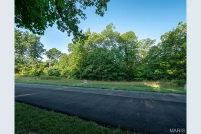 31 Tbb Grand Meridien Court, Wildwood, MO 63005 - Photo 20