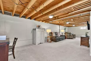 4317 Sunshine Dr, Saint Louis, MO 63116 - Photo 46