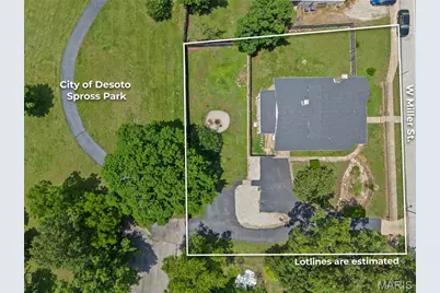 807 W Miller Street, De Soto, MO 63020 - Photo 6