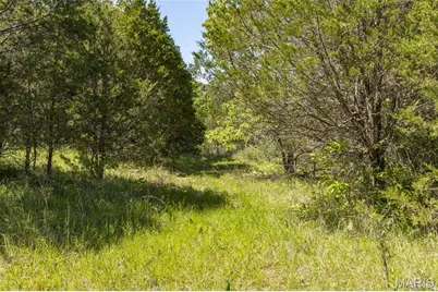 0 State Route 21, De Soto, MO 63020 - Photo 14