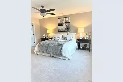 231 Burrograss Drive, Wentzville, MO 63385 - Photo 20
