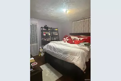 7710 Carleton Avenue, University City, MO 63130 - Photo 10