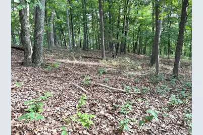17134 Hidden Valley Forest, Wildwood, MO 63025 - Photo 4