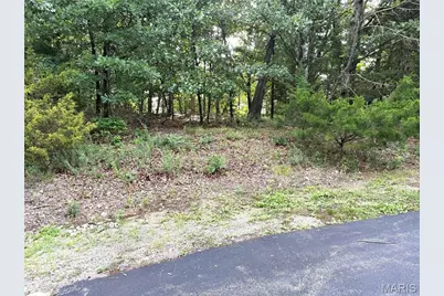 17134 Hidden Valley Forest, Wildwood, MO 63025 - Photo 8