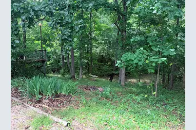 2403 Highway F, Wright City, MO 63390 - Photo 4