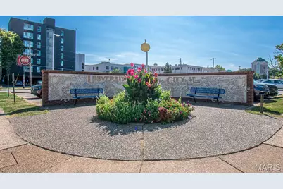 710 Leland Avenue #2N, University City, MO 63130 - Photo 38