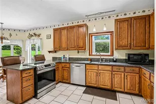 10309 Turkey Trail Dr, Hillsboro, MO 63050 - Photo 16