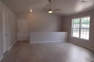 201 Chestnut St, Crystal City, MO 63019 - Photo 2