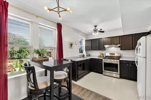 2253 Klemm, Saint Louis, MO 63110 - Photo 8