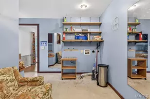 10635 State Rte O, Saint Genevieve, MO 63670 - Photo 42