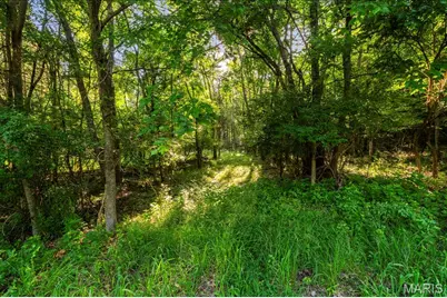 3701 Bear Tooth Lane, Wildwood, MO 63069 - Photo 12
