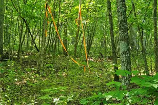 8+/- Ac Walker Rd, Troy, MO 63379 - Photo 1
