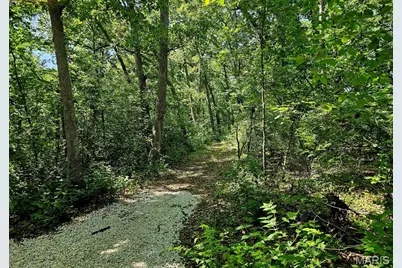 8+/- Ac Walker Road, Troy, MO 63379 - Photo 4
