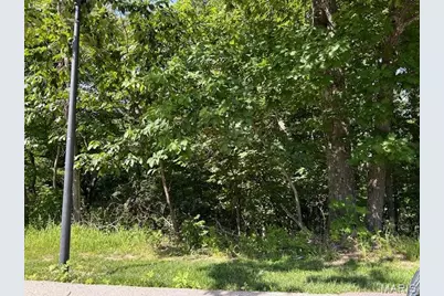 817 Wildflower Valley Drive, High Ridge, MO 63049 - Photo 8