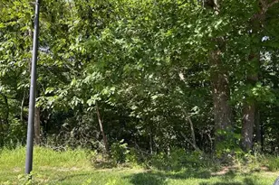 817 Wildflower Valley Dr, High Ridge, MO 63049 - Photo 8