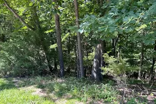 817 Wildflower Valley Dr, High Ridge, MO 63049 - Photo 4