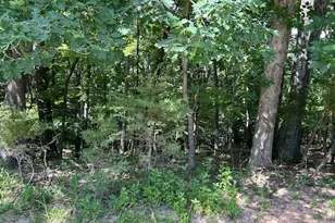 817 Wildflower Valley Dr, High Ridge, MO 63049 - Photo 6