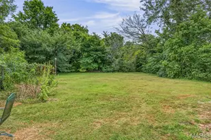 8985 Old Lemay Ferry Rd, Hillsboro, MO 63050 - Photo 8