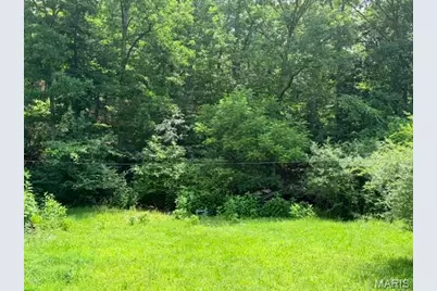 00 NE 6th Street, Mill Spring, MO 63952 - Photo 4