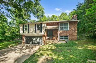 3310 Lynch Rd, Pacific, MO 63069 - Photo 1