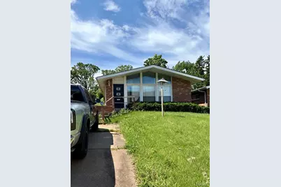 4426 Carter Avenue, Saint Louis, MO 63115 - Photo 1