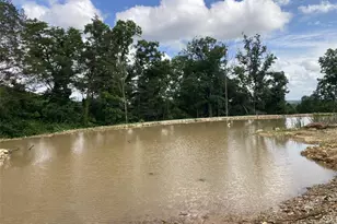 5352 St Louis Rock Rd, Villa Ridge, MO 63089 - Photo 10