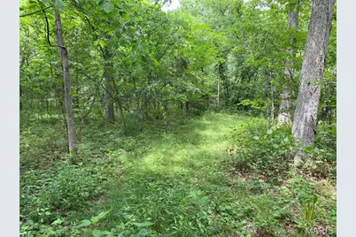 17656 S State Highway 21, Potosi, MO 63664 - Photo 16