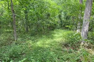 17656 S State Hwy 21, Potosi, MO 63664 - Photo 16