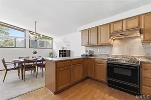 1029 Coffey Ct, Saint Louis, MO 63126 - Photo 10