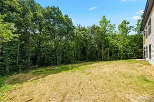 217 Red Mare Rd, Winfield, MO 63389 - Photo 38