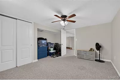 38 Neale Drive, Crystal City, MO 63019 - Photo 26