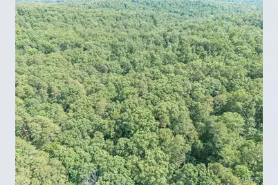 10130 Fish Hook Road, Potosi, MO 63664 - Photo 22