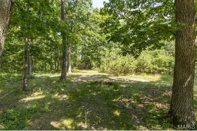 10130 Fish Hook Road, Potosi, MO 63664 - Photo 8