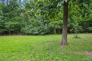 1485 Rue Riviera, Bonne Terre, MO 63628 - Photo 28