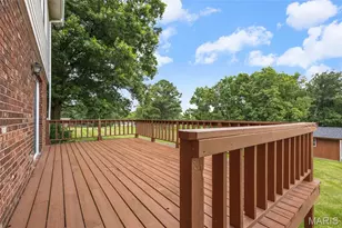 113 Sunnybrook Dr, Festus, MO 63028 - Photo 26
