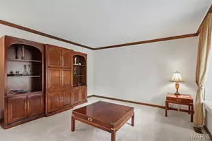 6 White Bark Ct, Unincorporated, MO 63304 - Photo 14