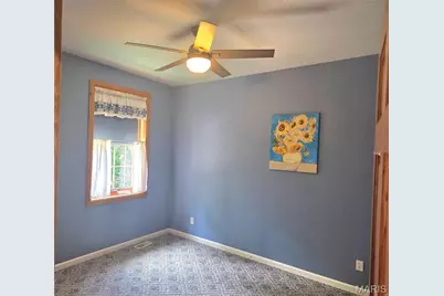 3150 Pleasant Run Drive, Palmyra, MO 63461 - Photo 38