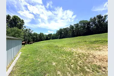 1086 Mill Hill Road, Saint Clair, MO 63077 - Photo 10