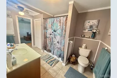 702 N Grant Street, Desloge, MO 63601 - Photo 42