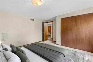 208 Rue Marne, Bonne Terre, MO 63628 - Photo 46