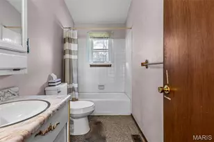 208 Rue Marne, Bonne Terre, MO 63628 - Photo 30