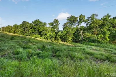 003 M- Cantrell Road, Winfield, MO 65704 - Photo 10